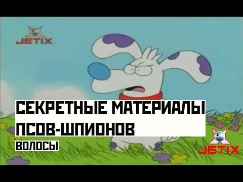 Видео: Секретные материалы псов-шпионов - 3 Серия (Волосы)