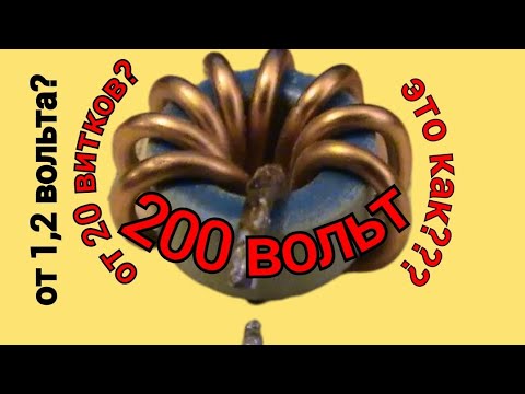 Видео: НЕОБЫЧНЫЙ ГЕНЕРАТОР ИЛИ 200ВОЛЬТ С 1,2