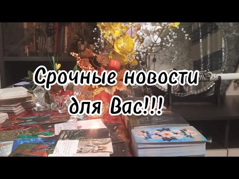 Видео: Срочные новости для Вас‼️💯💞💰✨️🗝