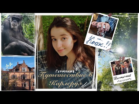 Видео: Путешествие в Карлсруэ☕️🍃🦍♟️ | Шахматы, кофе,  зоопарк, Германия! 