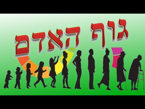 Видео: Вопрос-ответ #2 ♦️ Когда мы учимся говорить?  ♦️ ?מתי למדנו לדבר (цикл "גוף האדם")