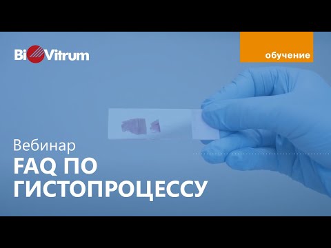 Видео: Вебинар "Вопросы и ответы по гистопроцессу"