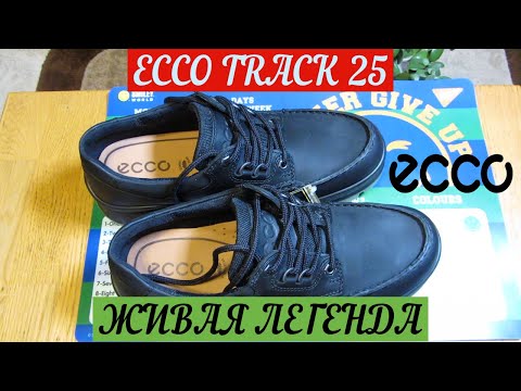 Видео: Обзор на мужские туфли Ecco Track 25