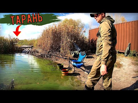 Видео: Нарешті !!! Це якісьЧемодани, а не Дніпрова Тарань !!!