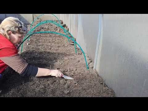 Видео: Пришла весна. Сеем зелень.