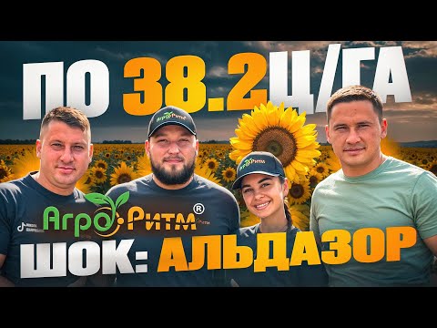 Видео: АБСОЛЮТНИЙ ШОК:АЛЬДАЗОР 38.2Ц! БРАТИ ШАМРИЦЬКІ,ПОЛТАВЩИНА!