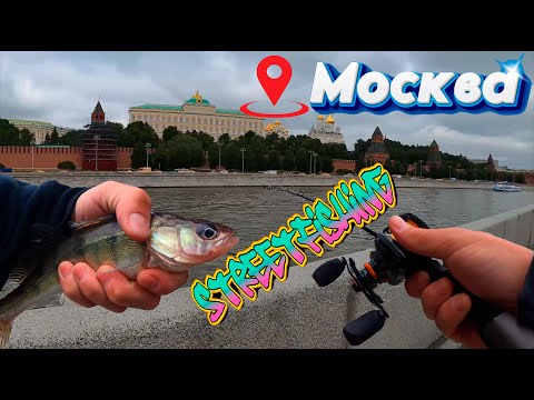 Видео: Рыбалка в центре Москвы. Стритфишинг - первые пробы