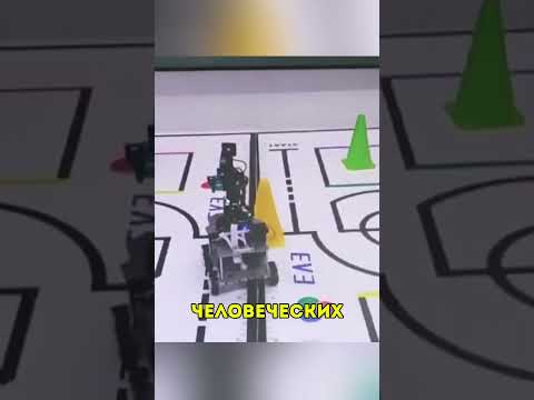 Видео: Китайцы вырастили искусственный мозг из столовых  клеток