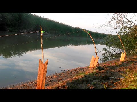 Видео: Оставил  ЗАКИДУШКИ с живцом НА НОЧЬ и УДИВИЛСЯ ОТ РЕЗУЛЬТАТА! Рыбалка с ночевкой 2022! Ловля судака.