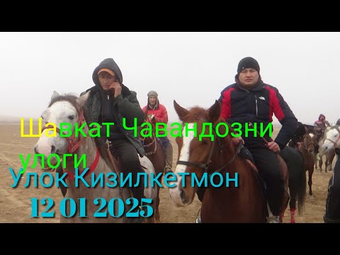 Видео: Улок Носир Хусрав Кизилкетмон 12 01 2025 Шавкат Чавандозни улоги тез куринг
