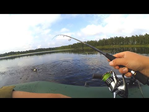Видео: Щука на вертушку и воблеры на глубине меньше колена! Рыбалка на торфяниках! Щука на спиннинг!