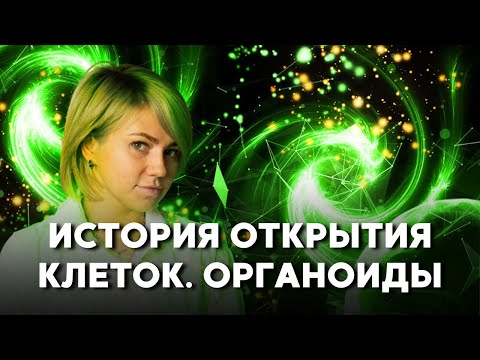 Видео: ВСЁ об ОРГАНОИДАХ и их КЛАССИФИКАЦИИ | Подготовка к ЕГЭ 2022 по БИОЛОГИИ