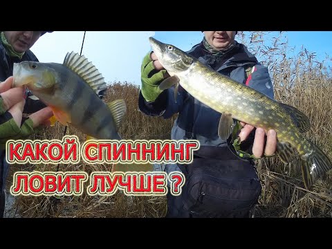 Видео: Рыбалка с берега на ДВЕ снасти ловля щуки и окуня на спиннинг