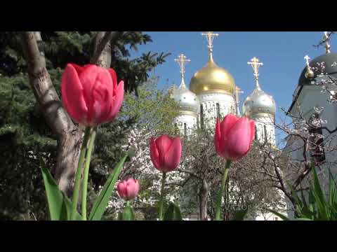 Видео: Пасхальный звон в Зачатьевском монастыре