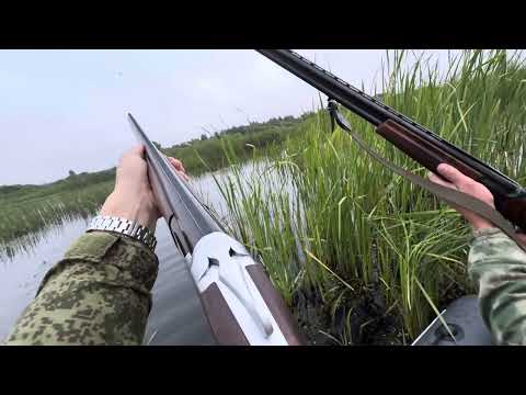 Видео: Точные выстрелы по утке ,cz mallard ружье великолепное ! Открытие в Тамбовской области 