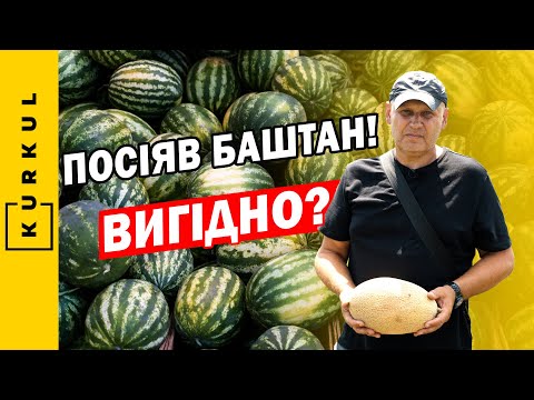 Видео: Почав вирощувати кавуни та дині в Кропивницькому — Геннадій Тактаров / Куркуль