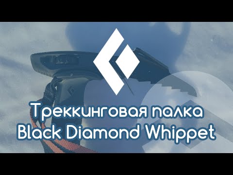 Видео: Треккинговая палка Black Diamond Whippet | Краткий обзор