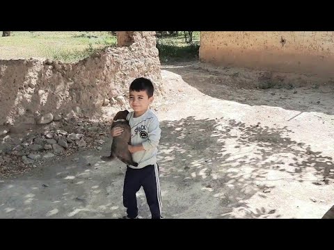 Видео: ТОЧИКИСТОН НОХИЯИ АЙНӢ ДЕХАИ САНГИСТОН. МО ДАР ХИЗМАТИ МАРДУМИ САНГИСТОН