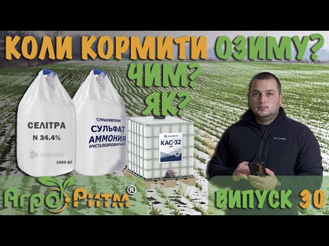 Видео: ВЖЕ ПОРА?!КОЛИ КОРМИТИ ОЗИМУ?ЧИМ?ЯК?