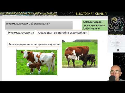 Видео: 7.48 Белгілердің тұқымқуалаудағы ДНҚ-ның рөлі