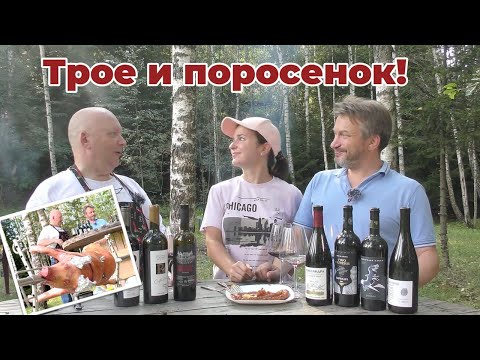 Видео: Саперави к поросенку на вертеле.