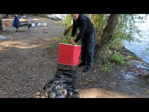 Видео: Супер рыбалка на леща осенью  Рыбалка на Днестре 2024
