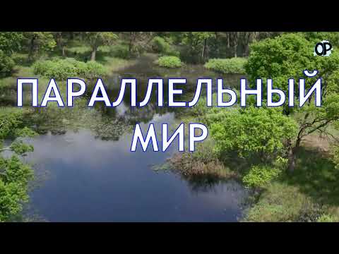 Видео: Припять - путешествие в параллельный мир. Водными путями по дубравам, рощам,  лугам и староречьям.