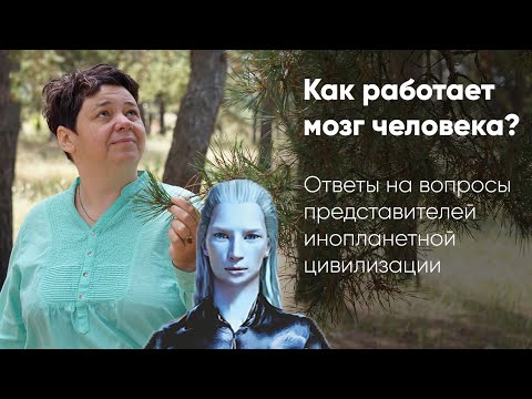 Видео: Ирина Подзорова  Как устроен мозг человека?Нейронные сети, разум, память, природа мыслей