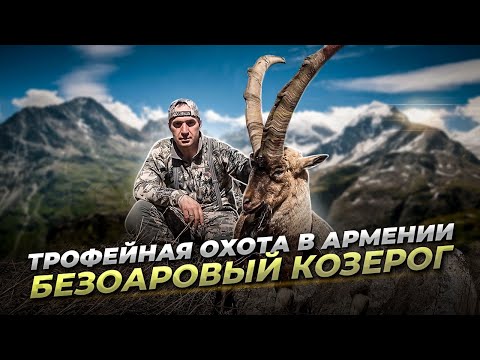 Видео: Трофейная охота в Армении. Безоаровый козерог.