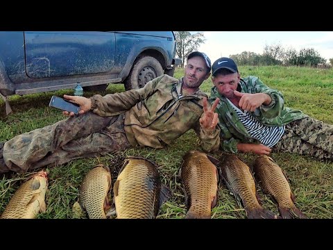 Видео: САЗАНЫ ЛОМАЮТ УДОЧКИ! Горе рыбаки! Ловля сазана на боковой кивок