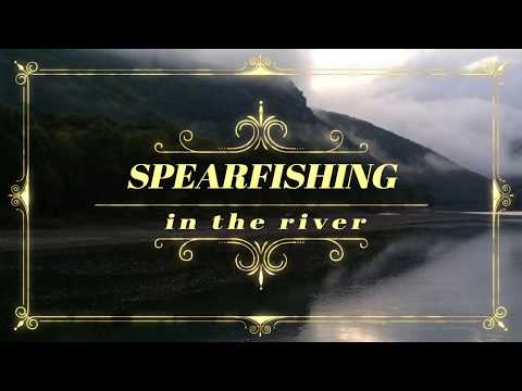 Видео: Подводная охота на реке Уссури. Zelinka - Pro 9/30.