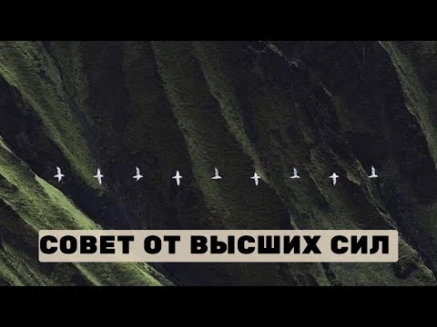 Видео: Совет от высших сил на эту неделю 