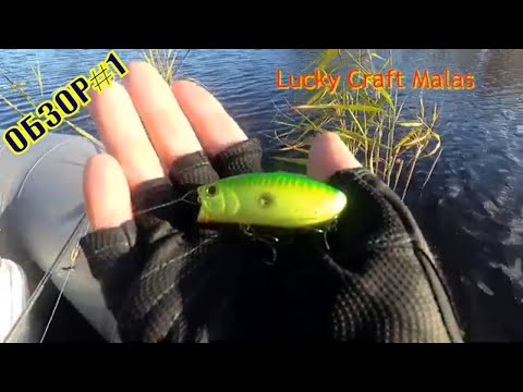 Видео: LUCKY CRAFT MALAS. ШАЛОПАЙ ЖАБОВНИКОВ. ОБЗОР.