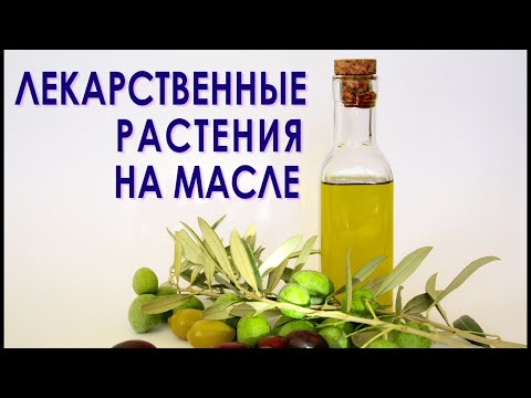 Видео: Как сделать масло из лекарственных растений! Рекомендации на трех примерах.