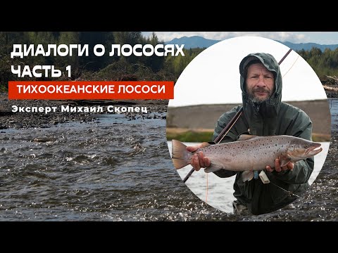 Видео: Диалоги о лососях. Часть 1