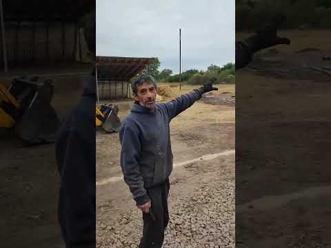 Видео: Будівництво свинарника в Чернігівській області 