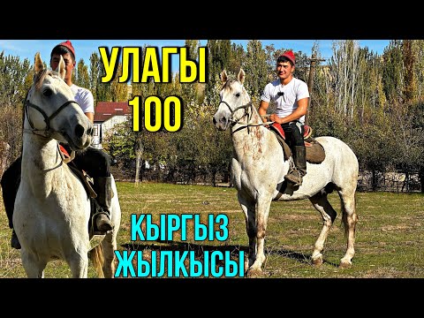 Видео: ДЫЙКАНДАН ЗОР АТ ЧЫКТЫ 🤯 #байтв