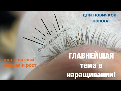 Видео: БЕЗ ЭТОГО НИКУДА! Для новичков - основа! Для опытных - польза! Фазы роста ресниц.