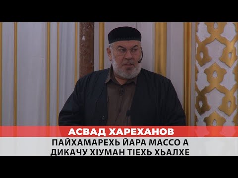Видео: Асвад - Пайхамарехь йара массо а дикачу хlуман тlехь хьалхе