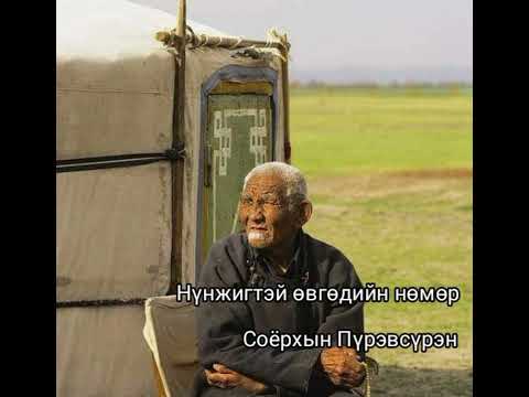 Видео: Соёрхын Пүрэвсүрэн Нүнжигтэй өвгөдийн нөмөр