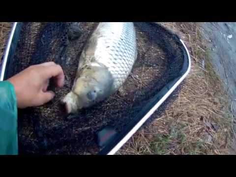 Видео: Рыбалка.Речка Турунчук.Троицкое