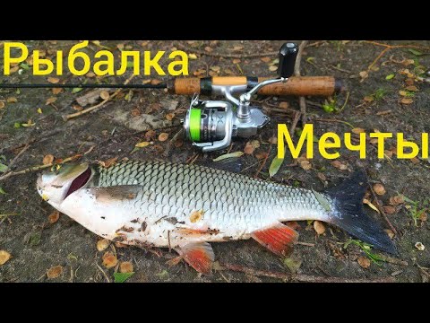 Видео: Как ловить голавля на майского жука на реке Десна рыбалка в июне 2021