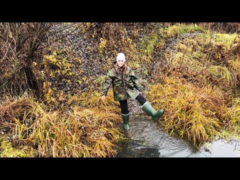 Видео: РЕКА НАШЕЙ ДЕРЕВНИ/ РЕМОНТ ТЕПЛИЦЫ/ БЫСТРЫЙ ПИРОГ С КАПУСТОЙ