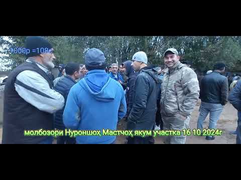 Видео: молбозори Нуроншоҳ Мастчоҳ якум участка 16 10 24г