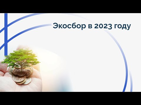 Видео: Экосбор в 2023 году