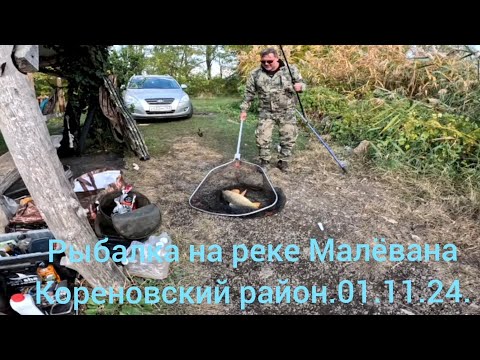 Видео: Рыбалка на сазана и карпа на флэт метод. 01.11.24.