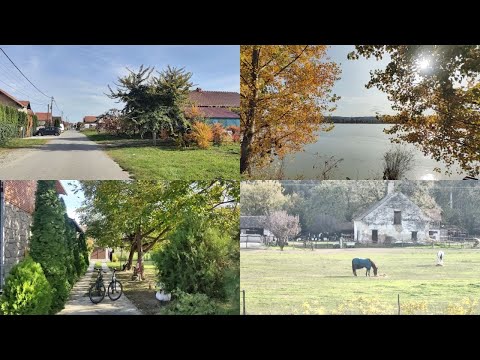 Видео: Футог, едем на велосипедах