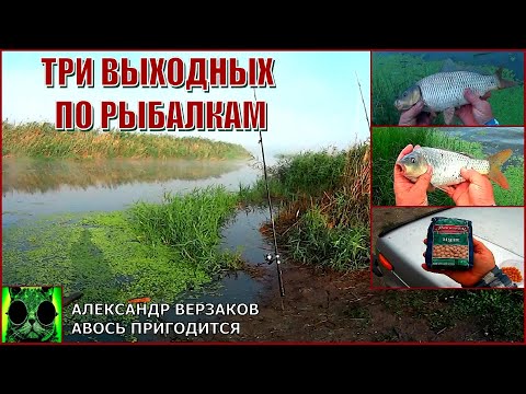 Видео: А порыбалимка 15/21г. Три выходных по рыбалкам.