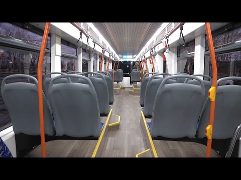 Видео: Пополнение прайда. Ещё один "Львёнок" приехал в Ульяновск