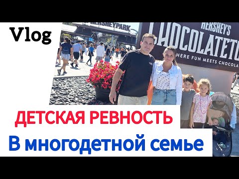 Видео:  🇺🇲VLOG. В НАШЕЙ СЕМЬЕ РЕВНОСТИ НЕТ. КАК ? НУ ВОТ ТАК ....